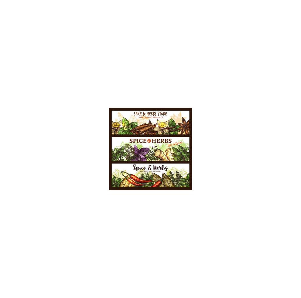 Vector spices and herbs farm store banners