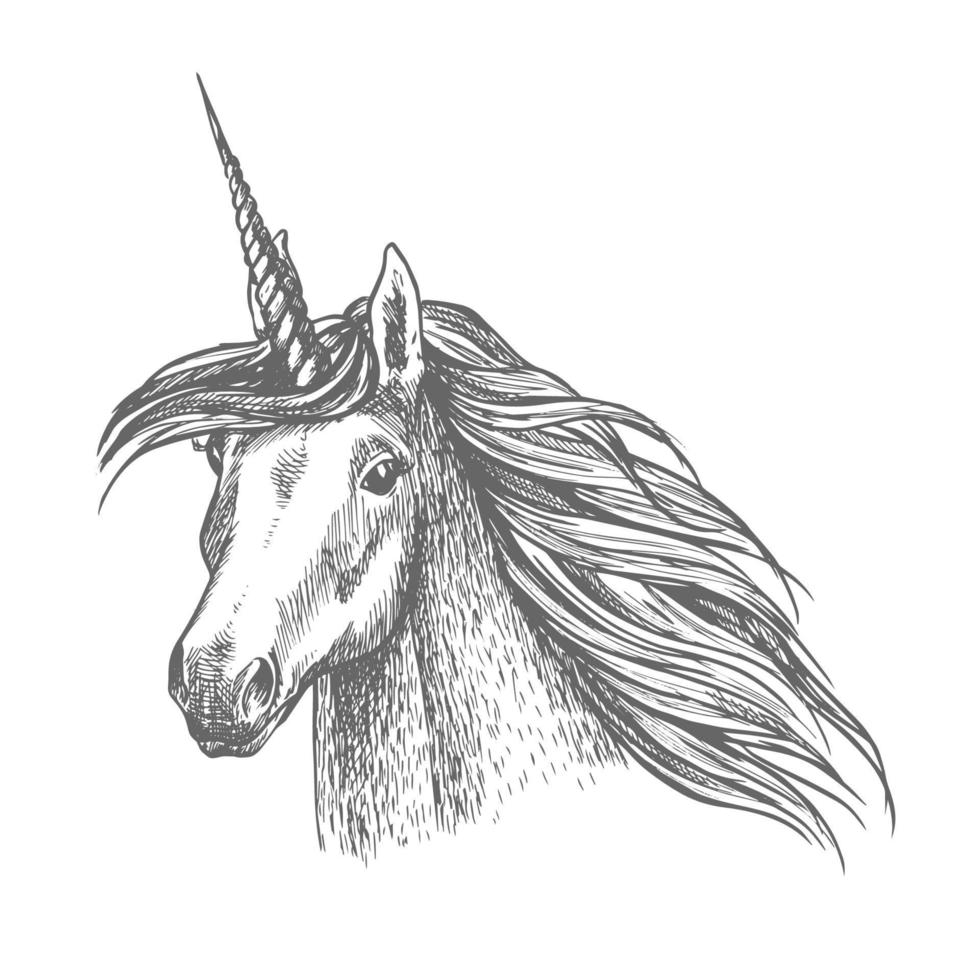 Unicorn magic horse head sketch vector