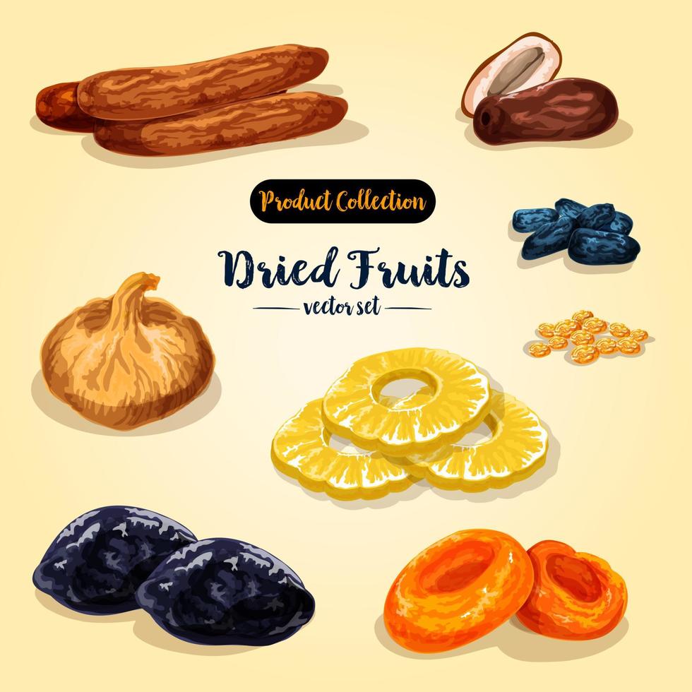 Dried fruit and candied berry set vector