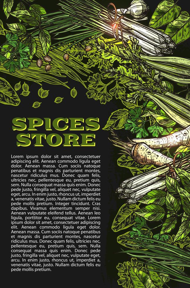 Vector sketch spices and herbs farm store poster