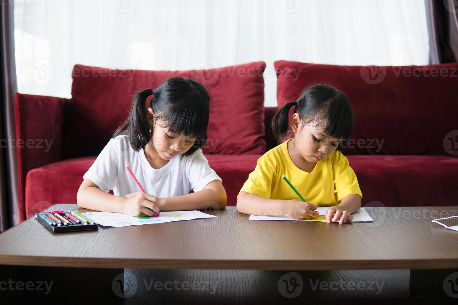 Two asian child girl students study online with teacher by video call together. Siblings are homeschooling with computer laptop during quarantine due to Covid 19 pandemic. photo