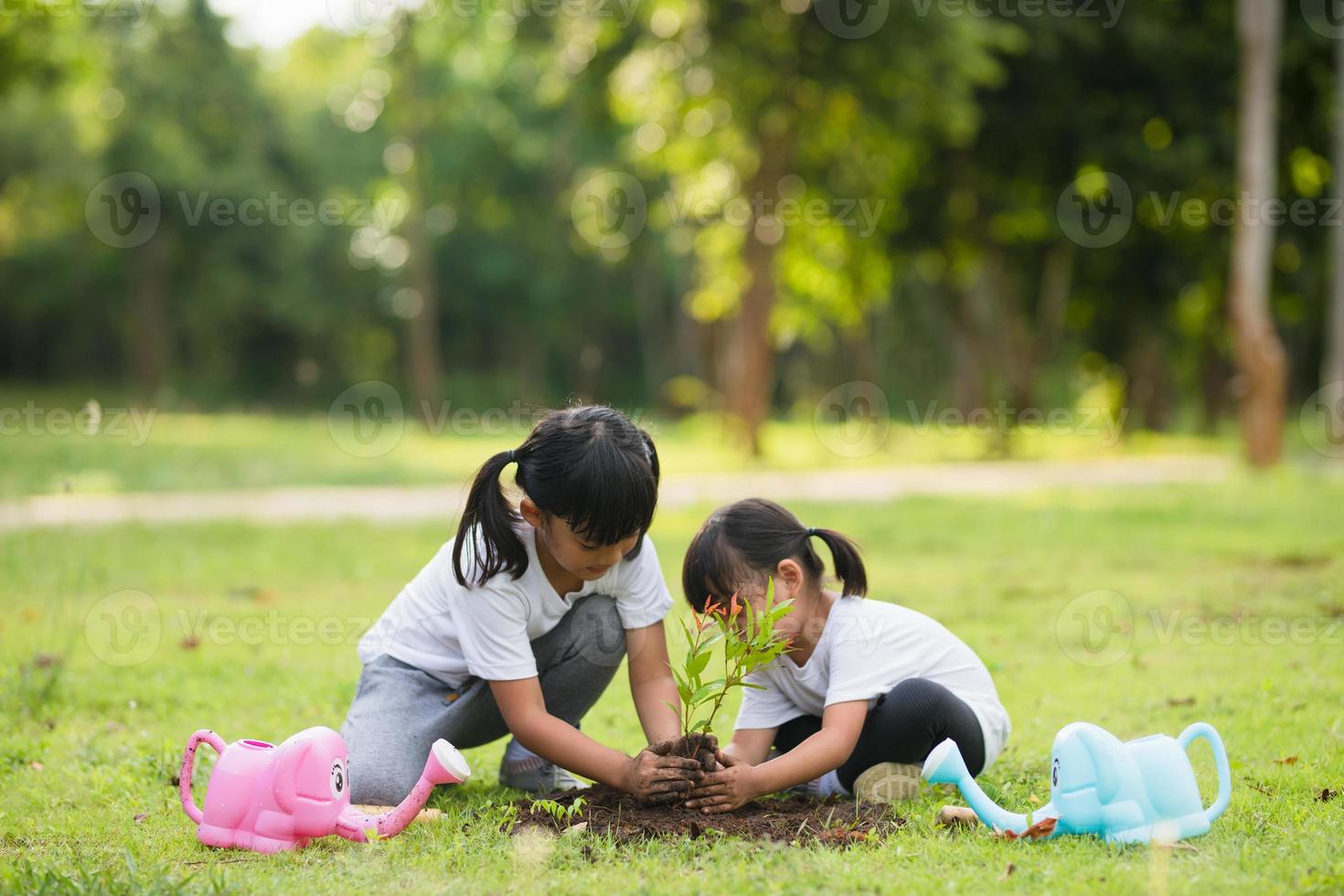 Asian sibling planting young tree on black soil together as save world in garden on summer day. Planting tree. Childchood and outdoor leisure concept. photo