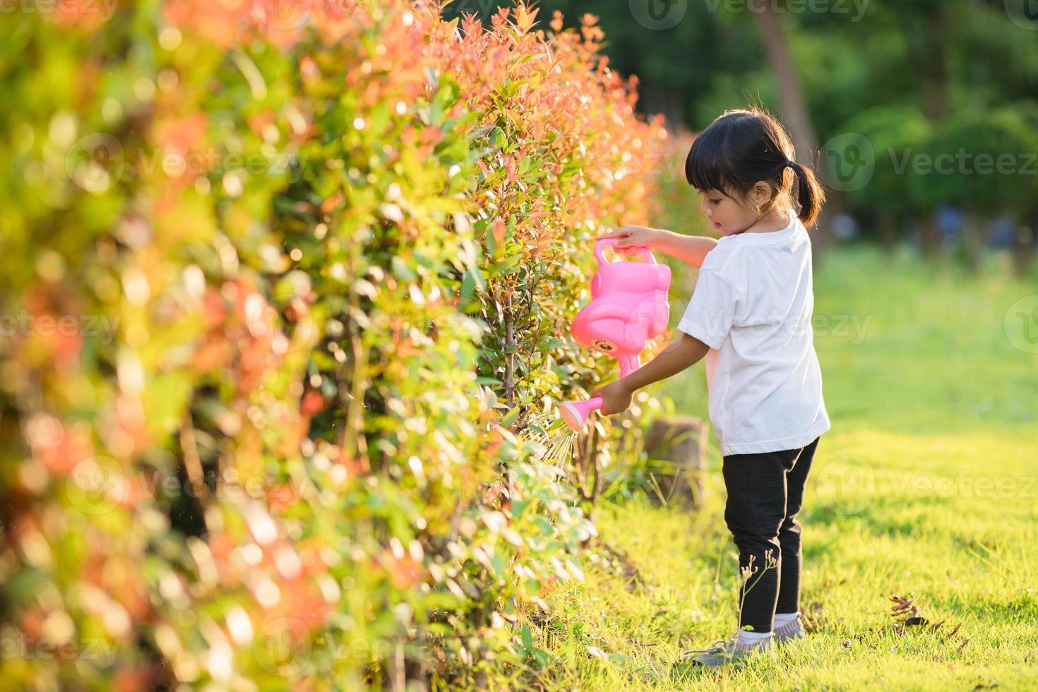 Asian little child girl pouring water on the trees. kid helps to care for the plants with a watering can in the garden. photo