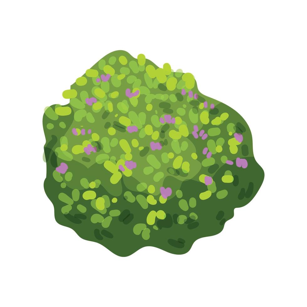 Vector illustrator of  Detailed Bushes