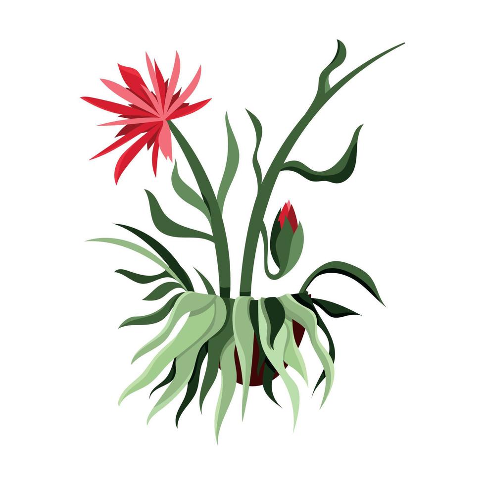Cactus in pot vector
