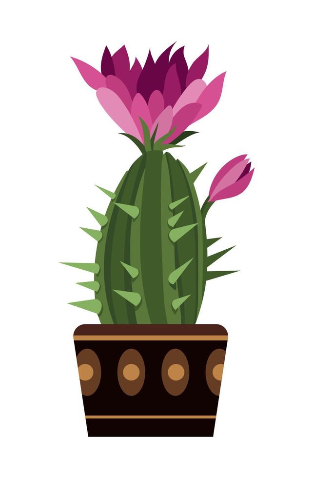 Cactus in pot vector