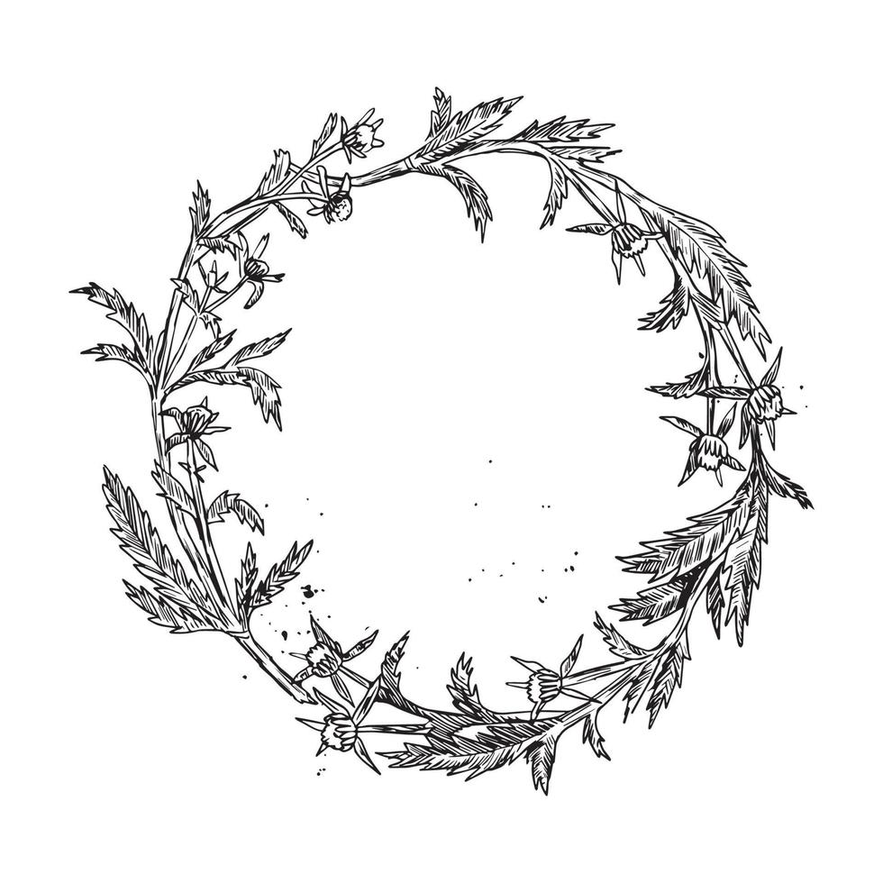 Monochrome of wreaths in sketch style vector