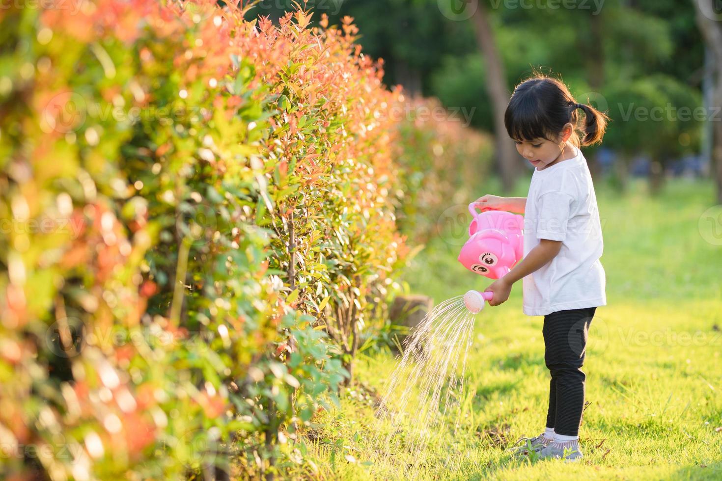 Asian little child girl pouring water on the trees. kid helps to care for the plants with a watering can in the garden. photo