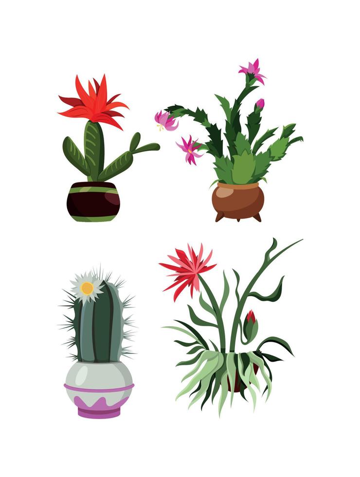 Set of Cactuses in Pots vector