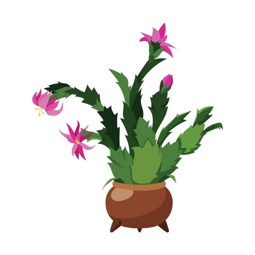 ilustrador vectorial de cactus en maceta vector