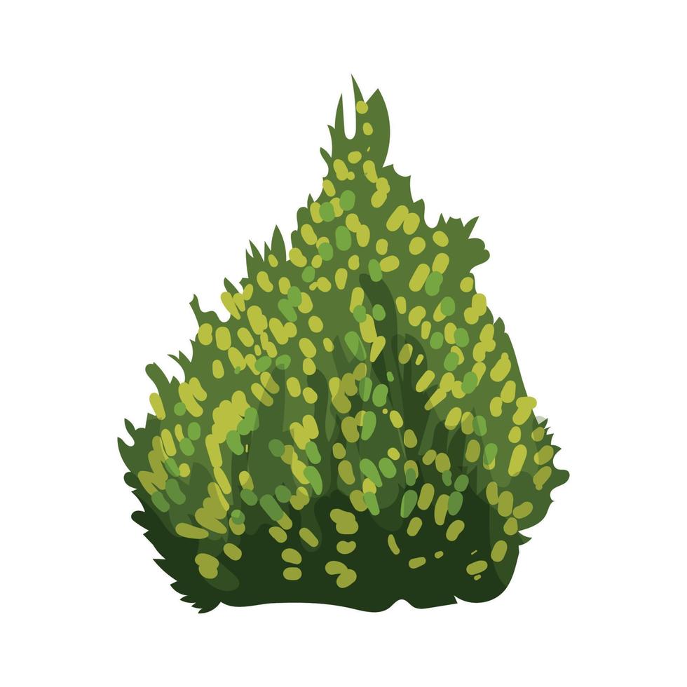 ilustrador vectorial de arbustos detallados vector