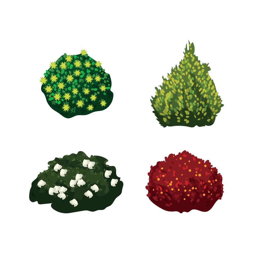 Set of Detailed Bushes vector