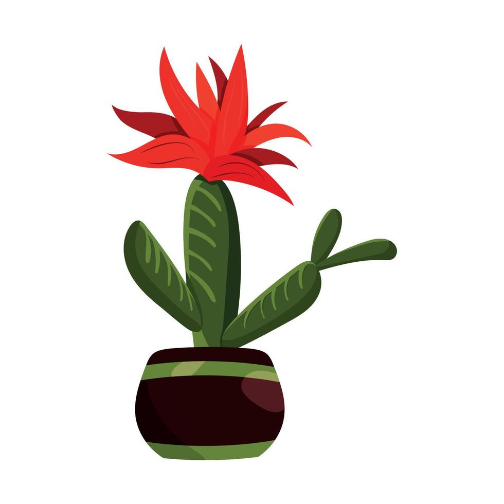 Cactus in pot vector