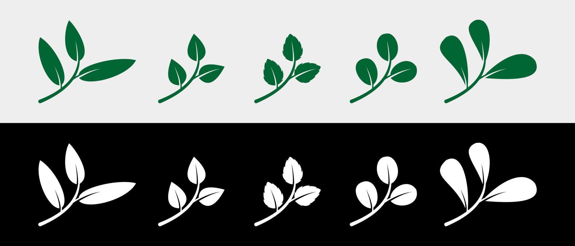 Green leaf icon with vector silhouette in creative concept