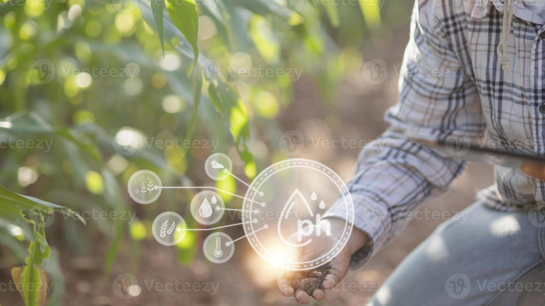 soil in hands for check the quality of the soil for control soil quality before seed plant. Future agriculture concept. Smart farming, using modern technologies in agriculture photo