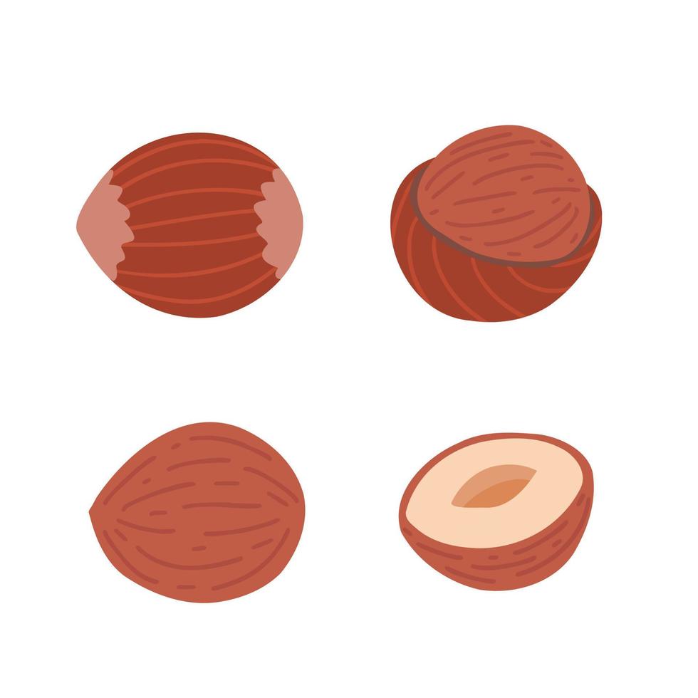 Hazelnut set. Illustration for printing, backgrounds, covers and packaging. Image can be used for greeting cards, posters, stickers and textile. Isolated on white background. vector