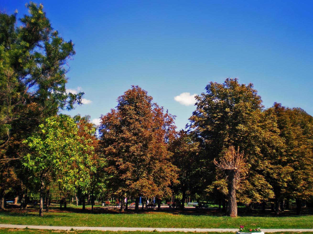 Jubilee Park in the city Volnyansk,Ukraine photo