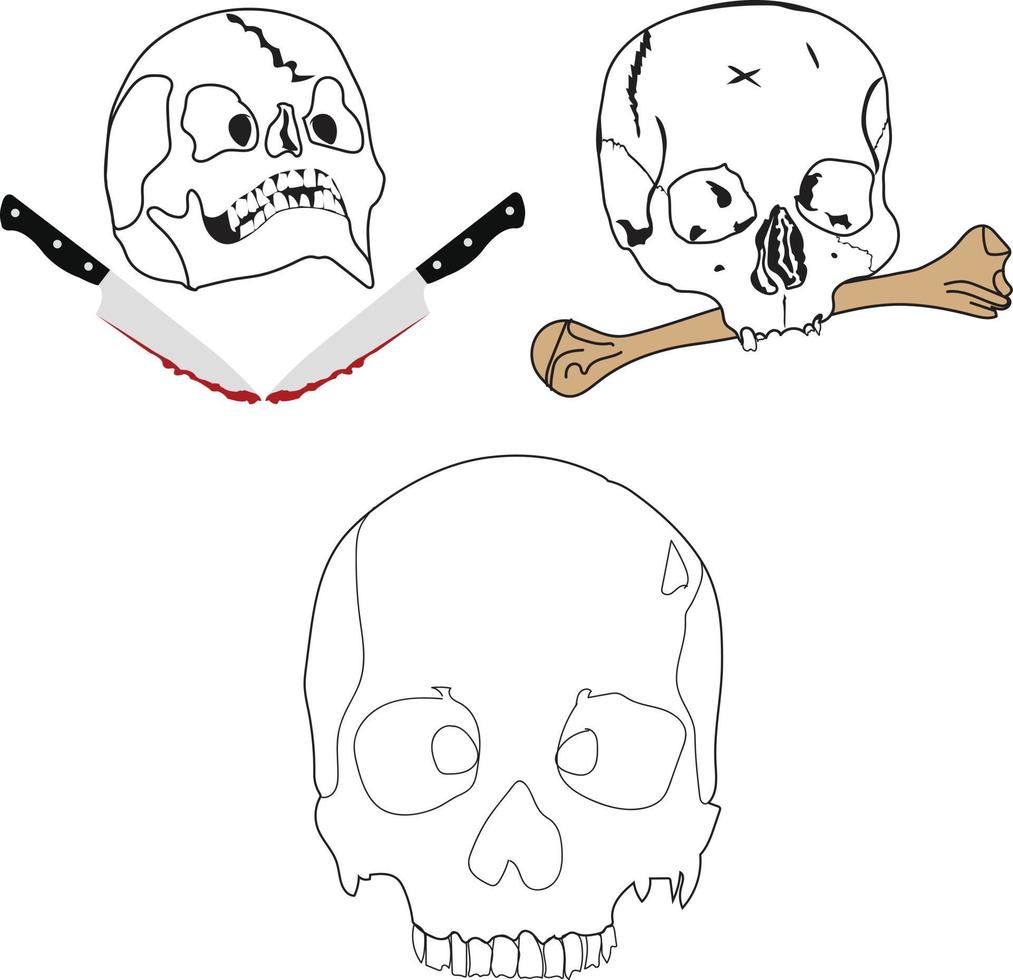 cráneo humano Vectores