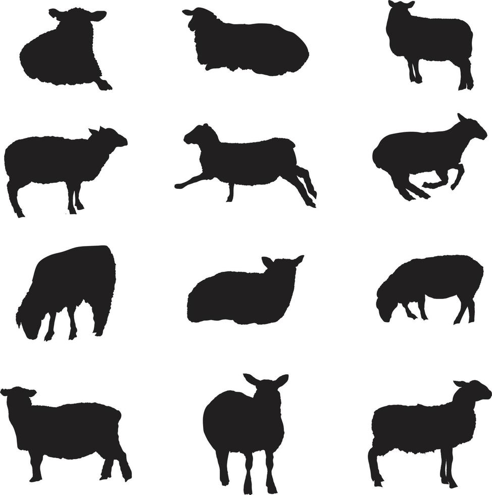 A vector collection of lamb silhouettes for artwork compositions