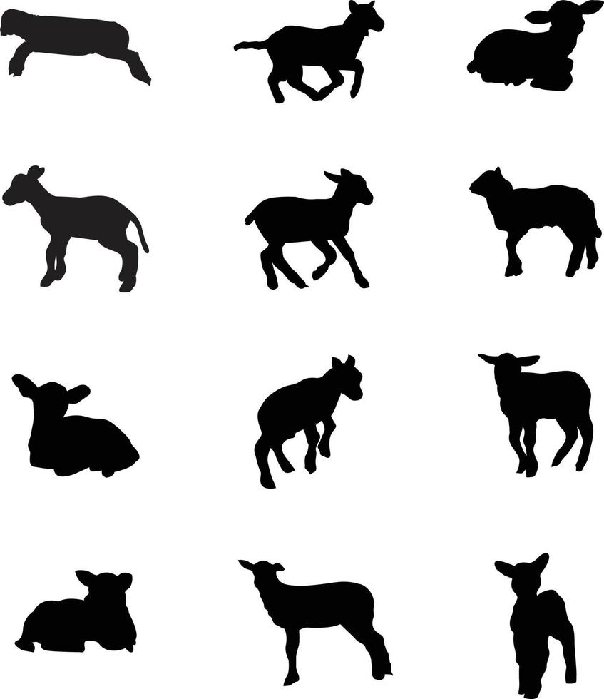 A vector collection of lamb silhouettes for artwork compositions