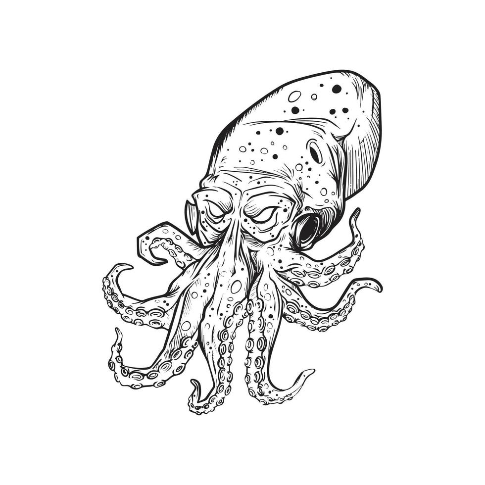 Illustration of a fierce line drawing of an octopus. vector