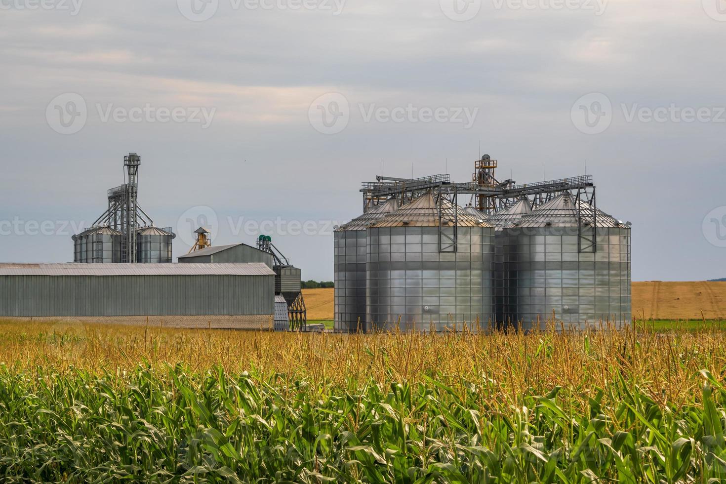 agro silos granary elevator with seeds cleaning line on agro-processing manufacturing plant for processing drying cleaning and storage of agricultural products in rye corn or wheat field photo
