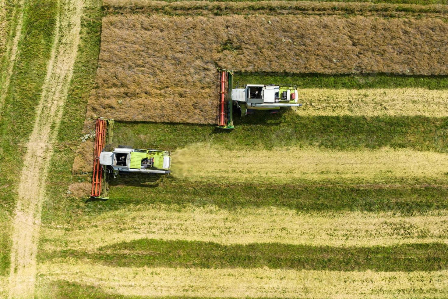 aerial view over modern heavy harvesters remove the ripe wheat bread in field. Seasonal agricultural work photo