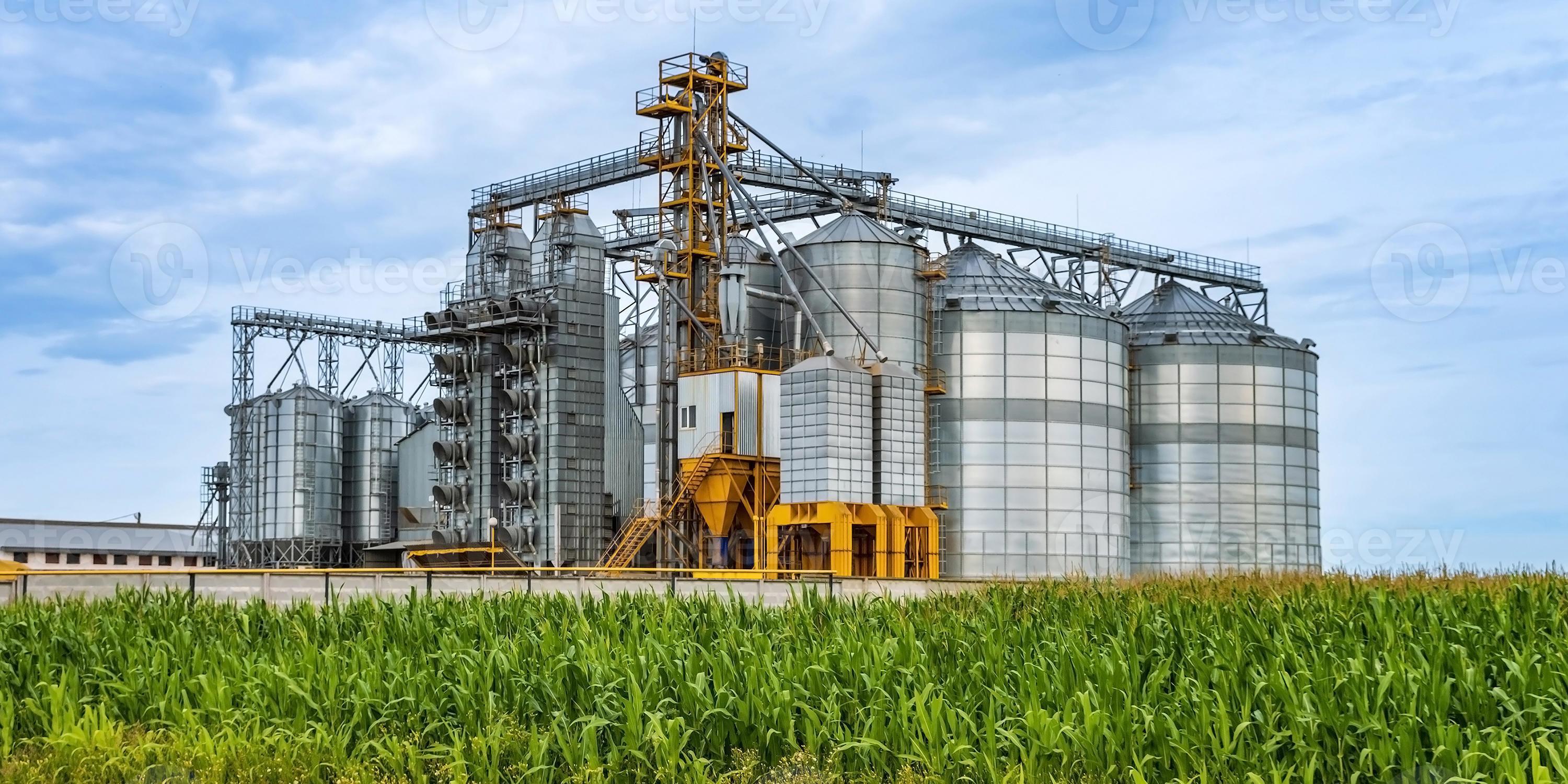 agro silos granary elevator with seeds cleaning line on agroprocessing