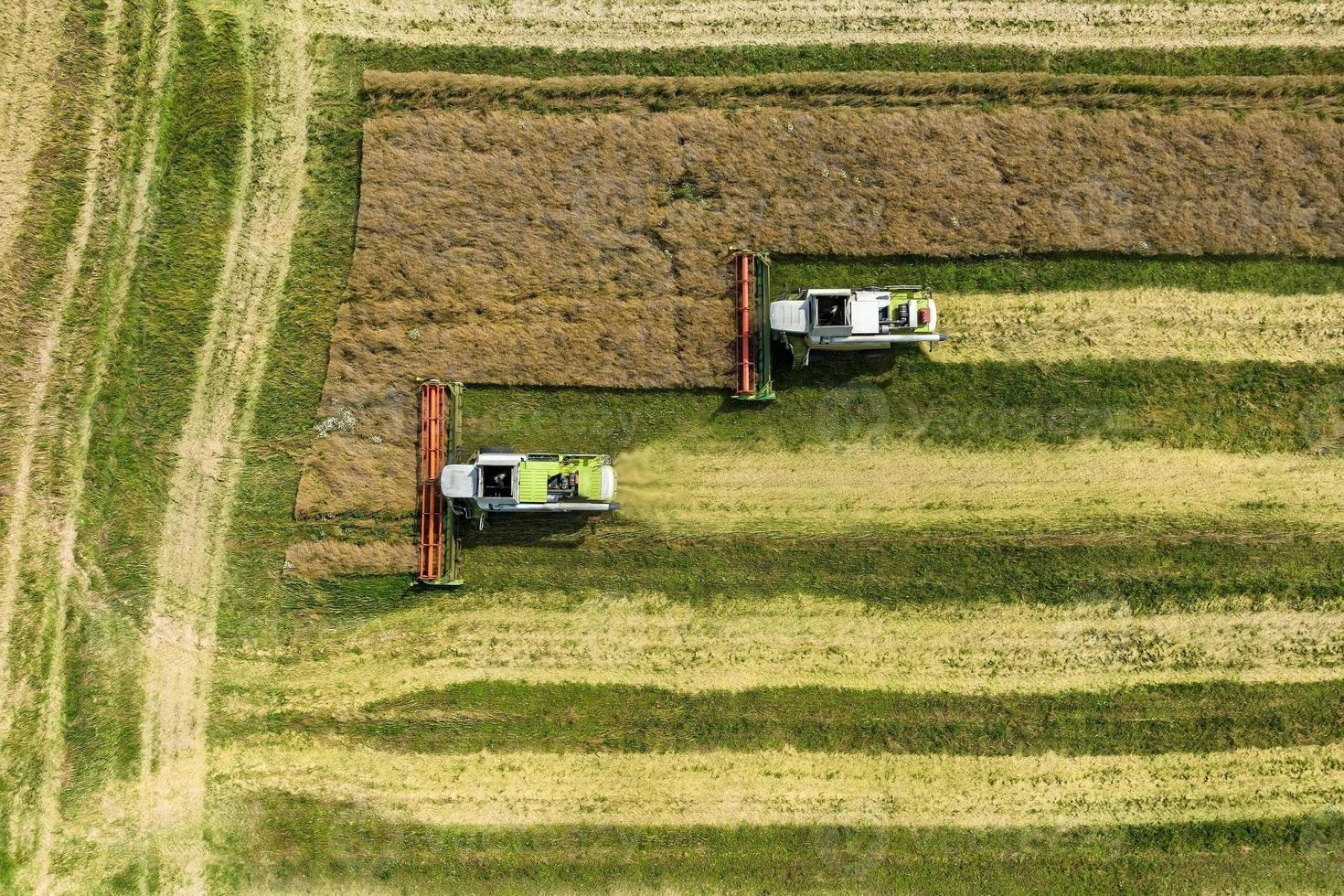 vista aérea sobre modernas cosechadoras pesadas quitan el pan de trigo maduro en el campo. trabajo agrícola estacional foto