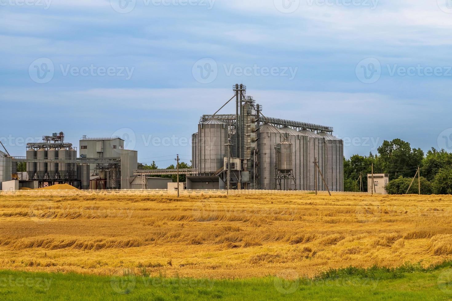 agro silos granary elevator with seeds cleaning line on agro-processing manufacturing plant for processing drying cleaning and storage of agricultural products in rye corn or wheat field photo