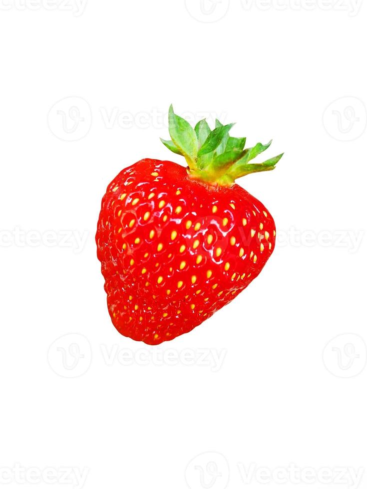 Strawberry on white background photo