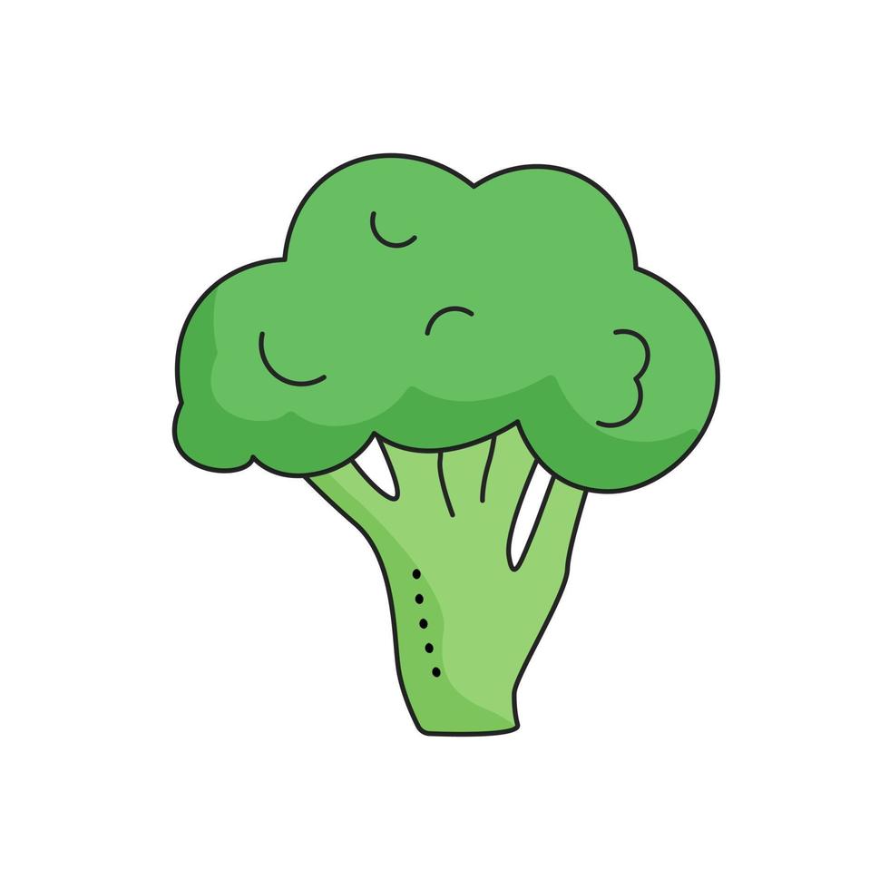 Broccoli Isolated on white background for menu, banner, poster, label, emblem. Cartoon style vector