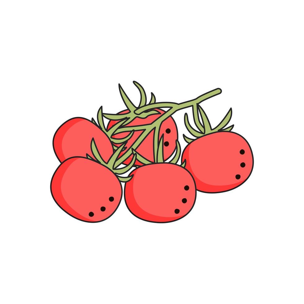 tomates cherry aislados en fondo blanco para menú, pancarta, afiche, etiqueta, emblema. estilo de dibujos animados vector