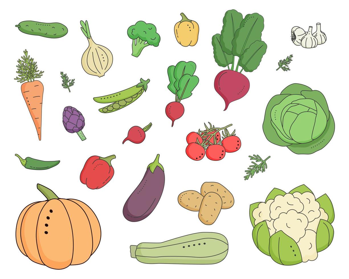 Set of vegetables. Cartoon style. vector