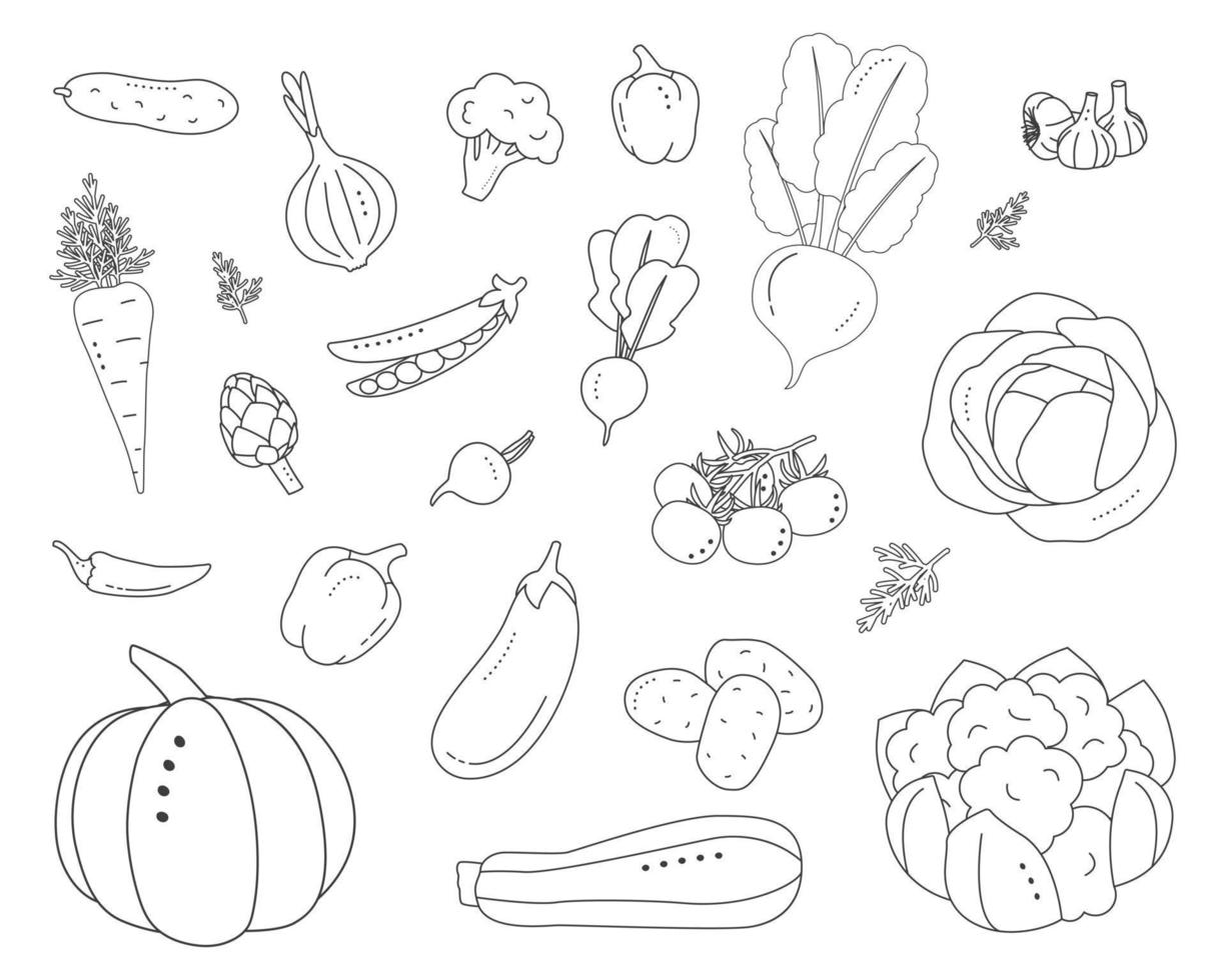 Set of vegetables. Cartoon style. vector