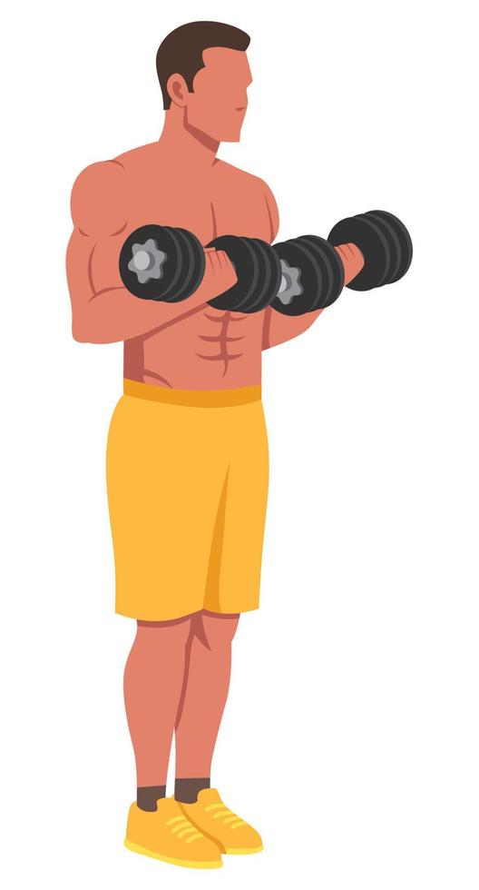 Dumbbells Fitness Training vector