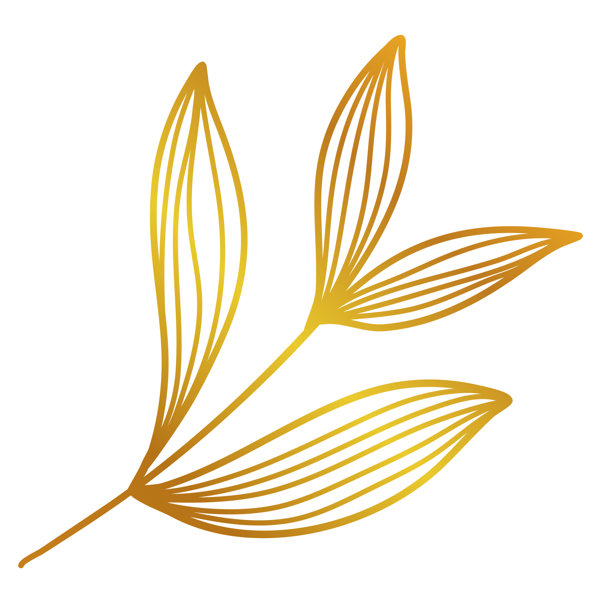 Golden Leaves Line Art 13077992 PNG