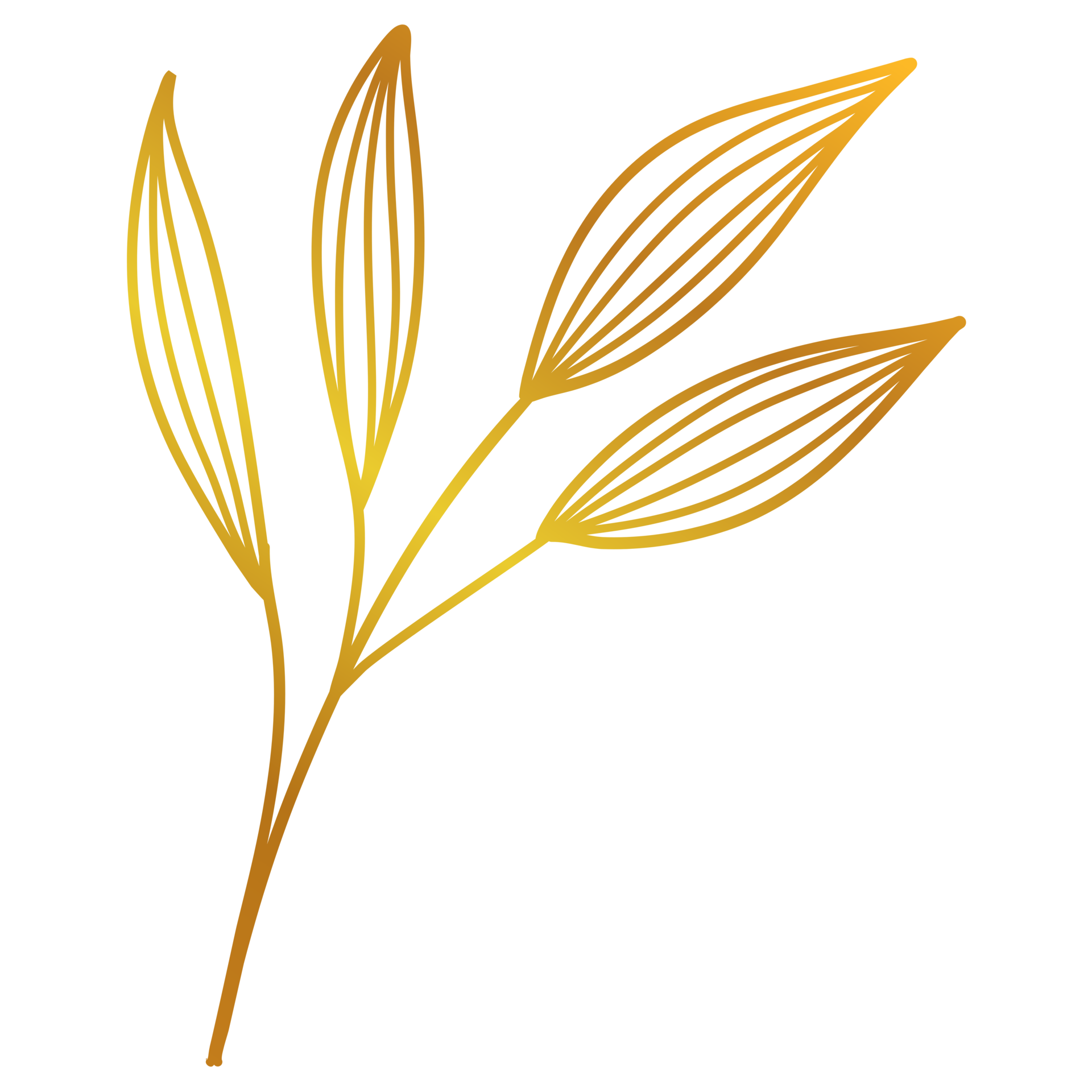 Golden Leaves Line Art 13077879 PNG