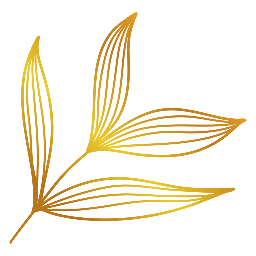 Golden Leaves Line Art png