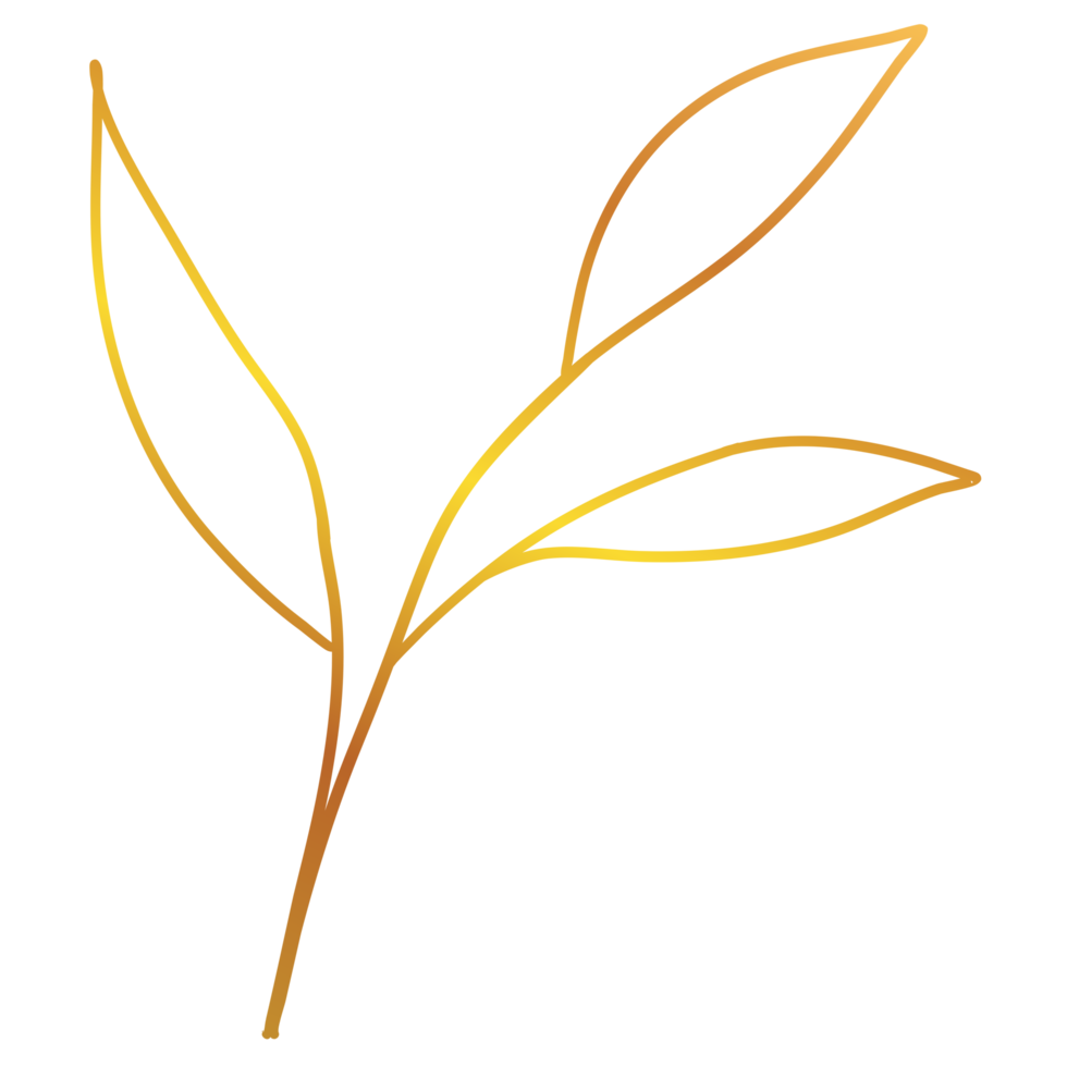 Golden Leaves Line Art png