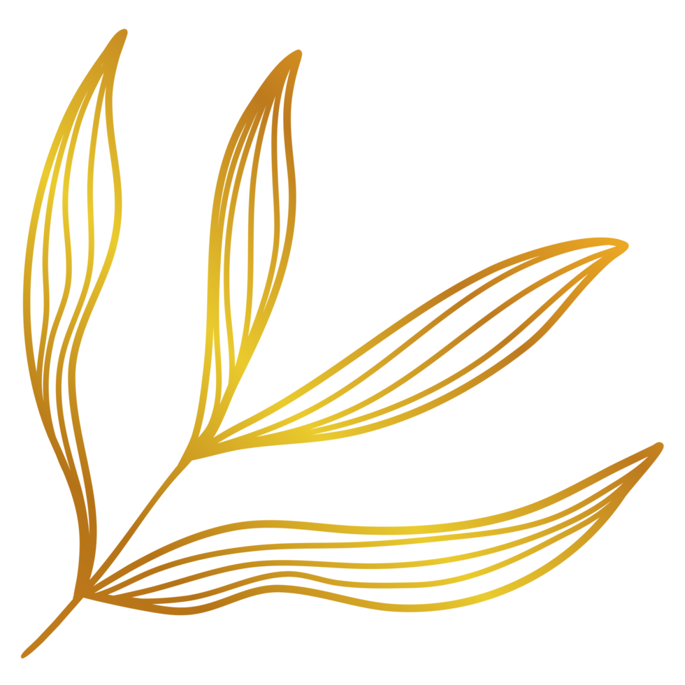 Golden Leaves Line Art png