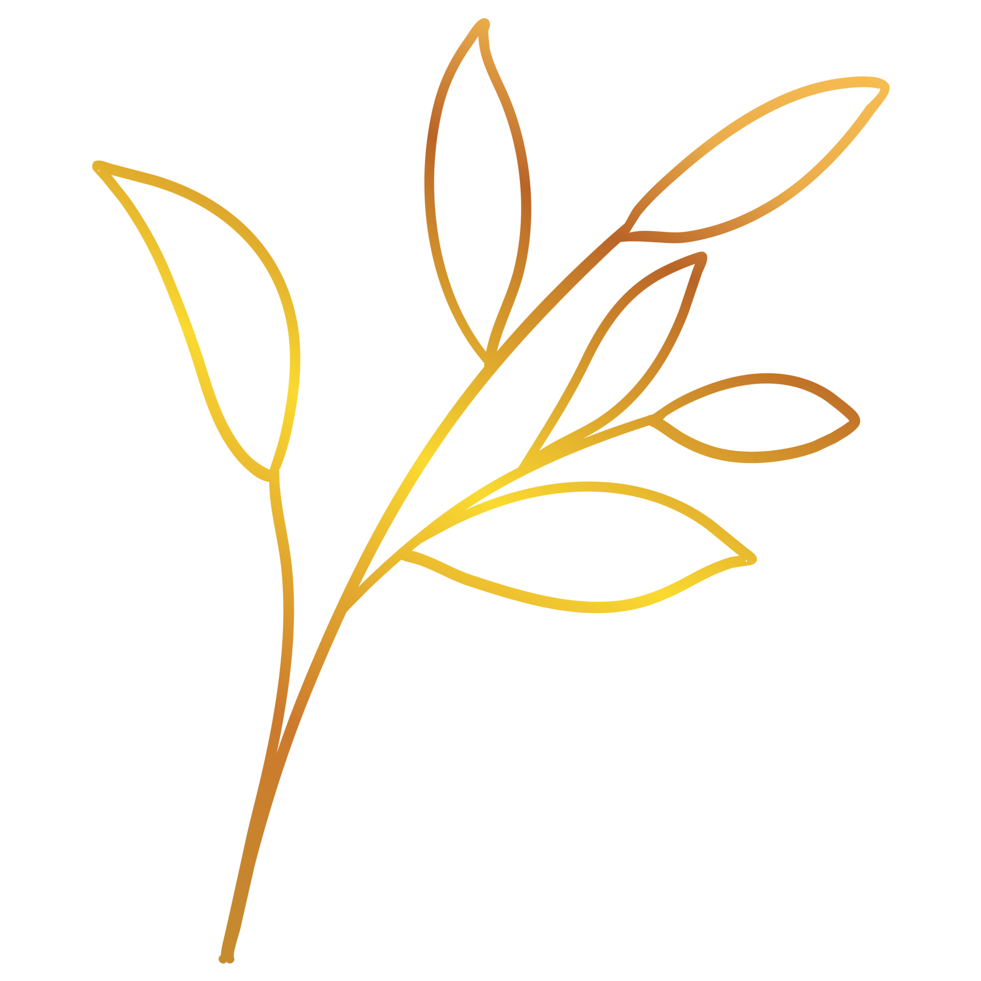 Golden Leaves Line Art 13077992 PNG