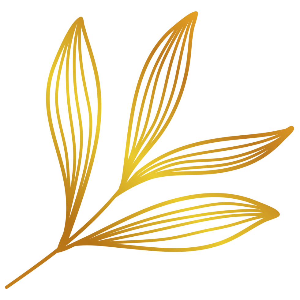 Golden Leaves Line Art png