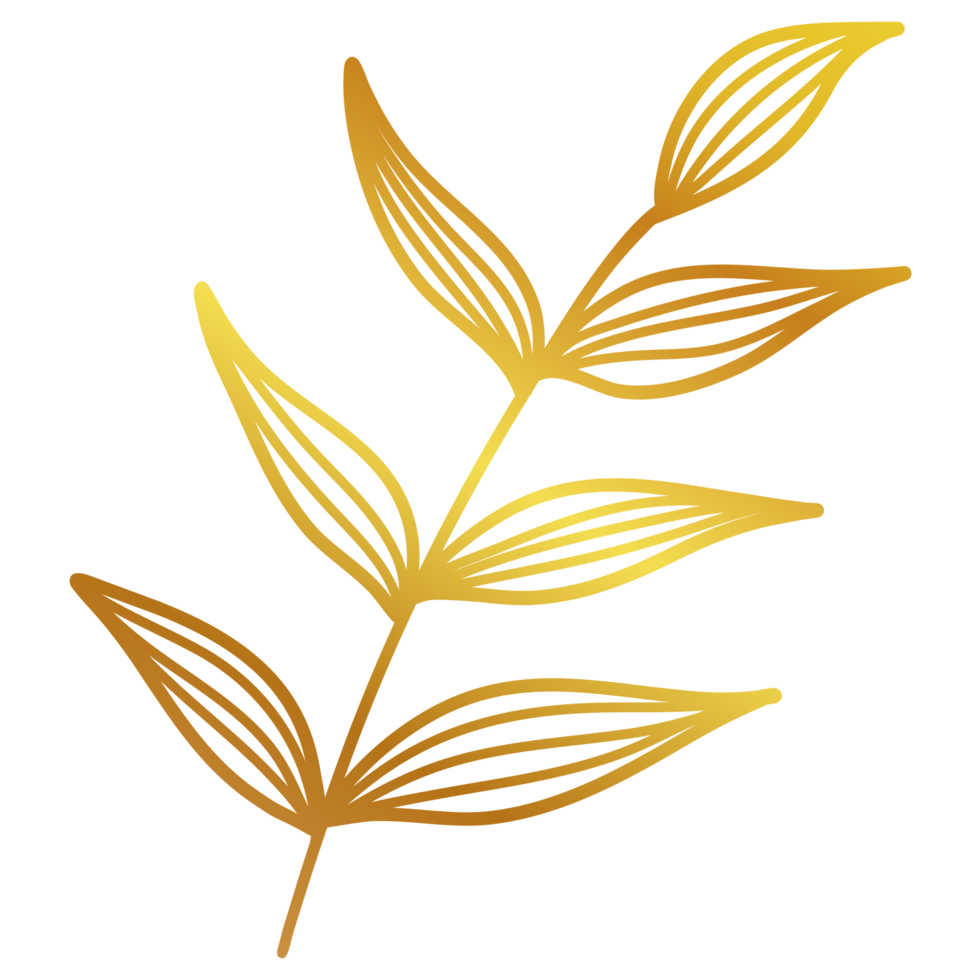 Golden Leaves Line Art png