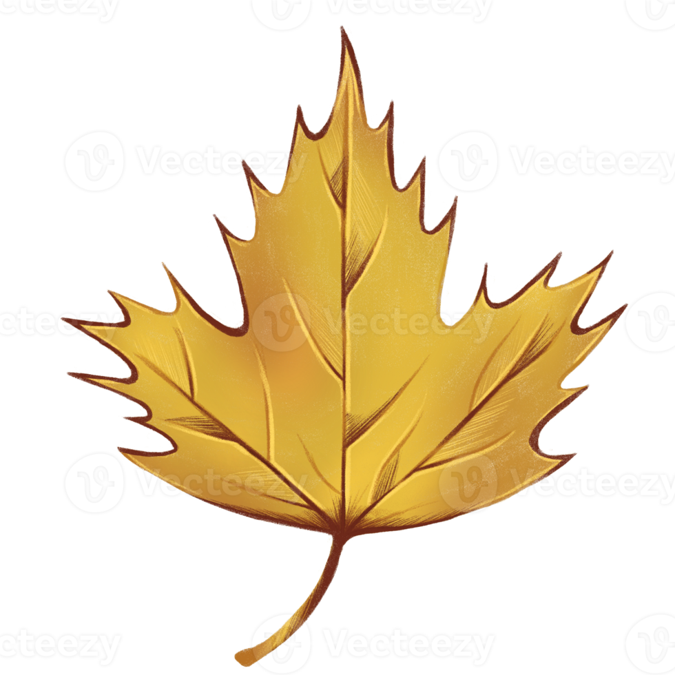 Autumn leaf, isolated on white background. Simple cartoon style. Design for stickers, logo, web and mobile app. png