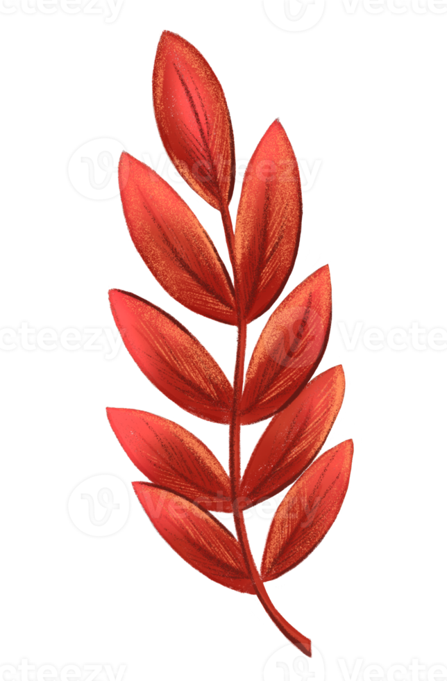 Autumn leaf, isolated on white background. Simple cartoon style. Design for stickers, logo, web and mobile app. png