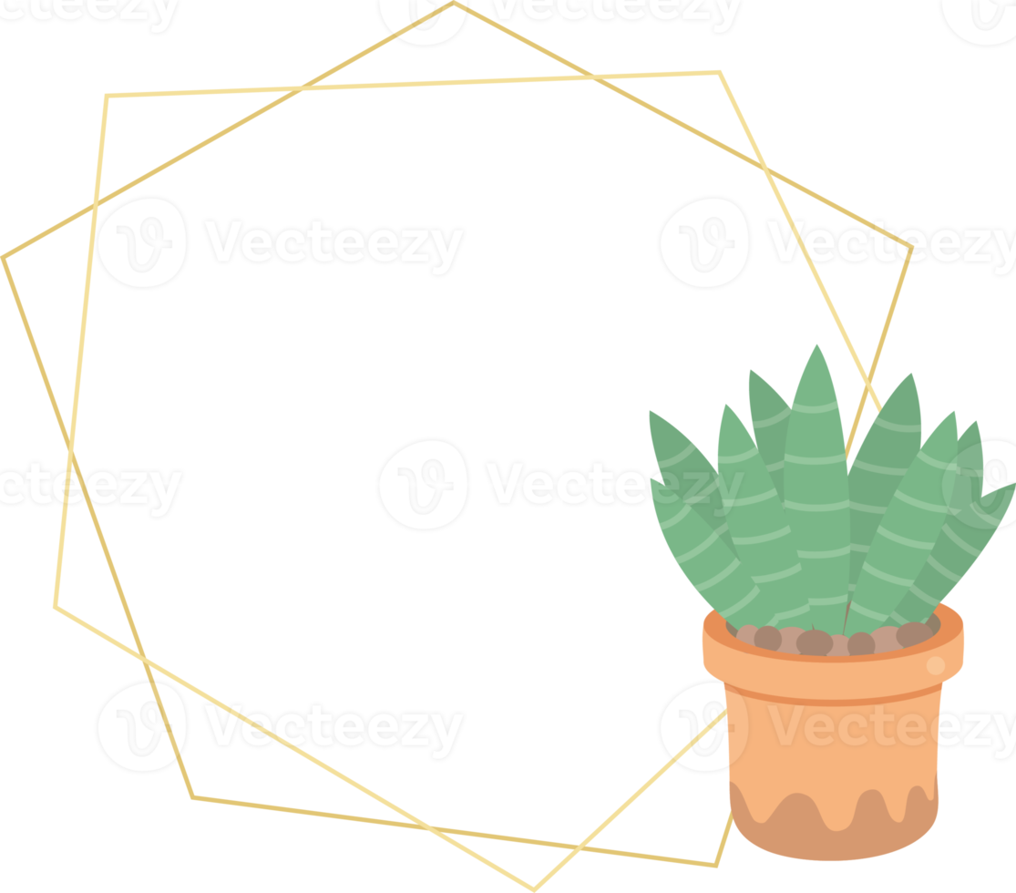 cute luxury flat style cactus and succulent with geometric golden frame png