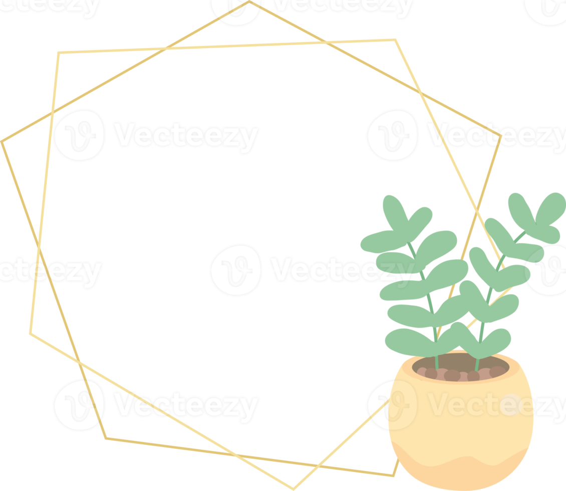 lindo cactus de estilo plano de lujo y suculento con marco dorado geométrico png