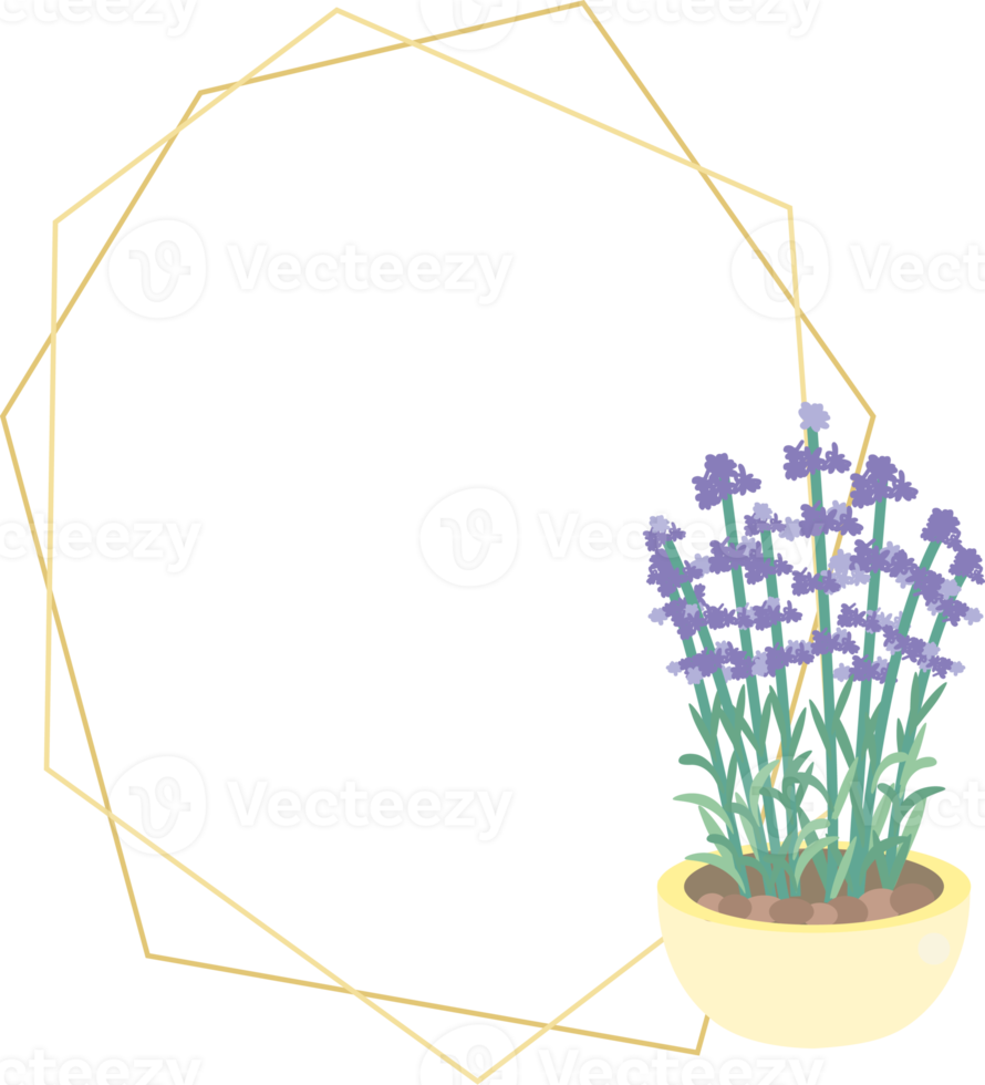 cute luxury flat style cactus and succulent with geometric golden frame png