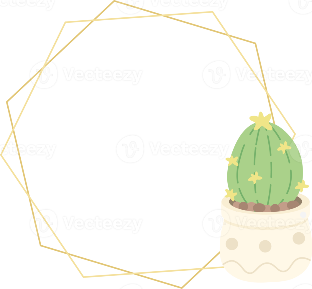 cute luxury flat style cactus and succulent with geometric golden frame png